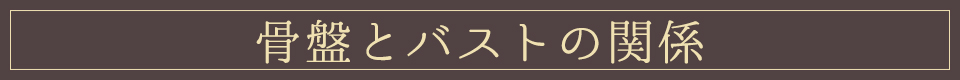 骨盤とバストの関係