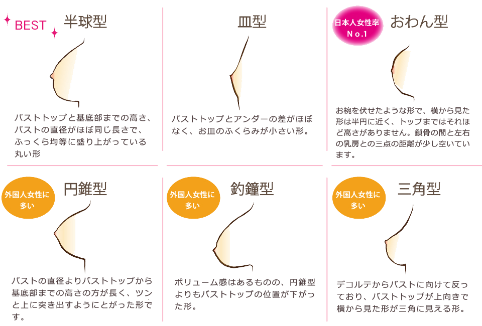 バストの形の種類は大きく分けて6種類