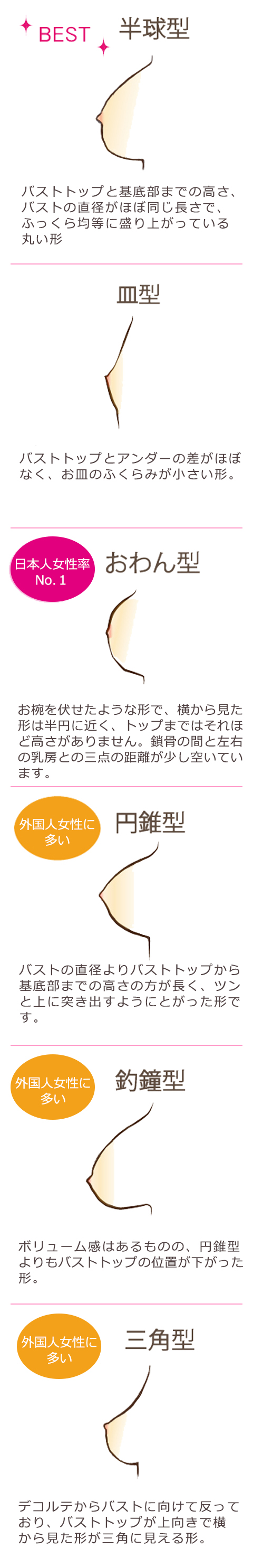 バストの形の種類は大きく分けて6種類